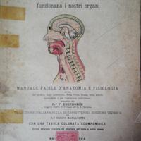 Manuale facile anatomia e fisiologia Ebenhoech