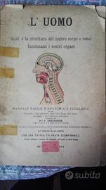 Manuale facile anatomia e fisiologia Ebenhoech