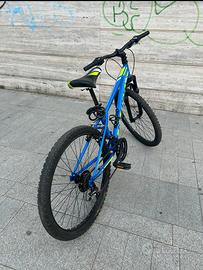 Bici mountain bike