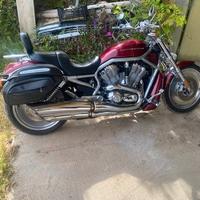 Harley-Davidson V-Rod - 2004