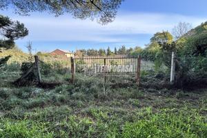 Terreno residenziale a Tarquinia