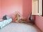 Immagine 14