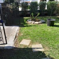 Appartamento a Montalto Marina