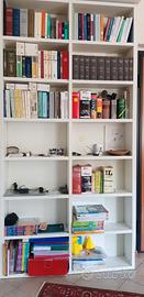 Libreria “Selecta” LEMA