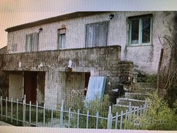 Rustico Squille 