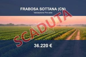 Immobile in asta di 16985 m² a Frabosa Sottana