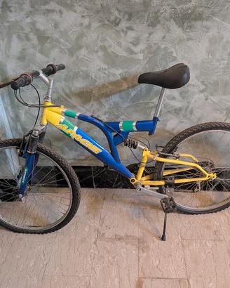 Mountain bike 