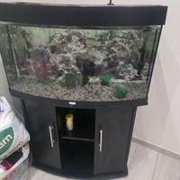 Acquario con mobile