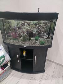 Acquario con mobile