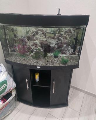 Acquario con mobile