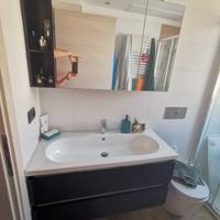 Mobile Sospeso Bagno con specchio contenitore