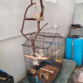 gabbia per pappagalli