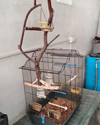 gabbia per pappagalli