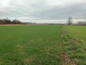 RGE 278/2023 Trib Pavia - LOTTO 6