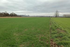 RGE 278/2023 Trib Pavia - LOTTO 6
