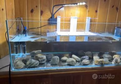 Acquario/tartarughiera di 40l completo di tutto