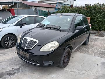Ricambi per Lancia Ypsilon 1.3 Mjt 2010 199A3000