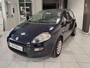 fiat-punto-1-3-mjt-ii-75-cv-5-porte-street