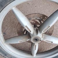 cerchio scarabeo anteriore 