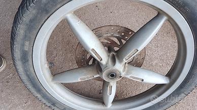 cerchio scarabeo anteriore 