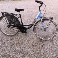 Biciclette da 30 euro