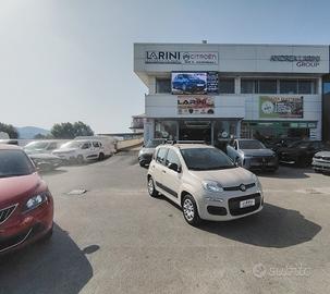 Fiat Panda 1.2 Pandazzurri - NEOPATENTATI