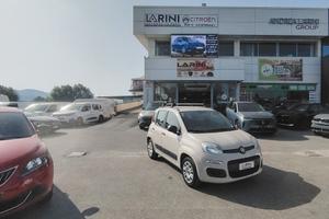 Fiat Panda 1.2 Pandazzurri - NEOPATENTATI