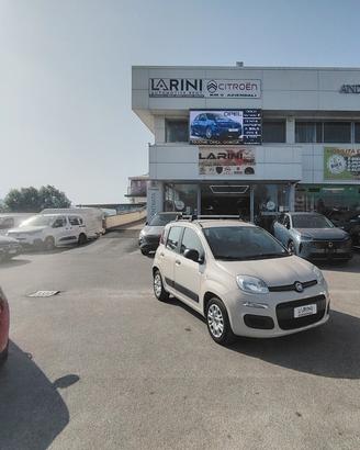 Fiat Panda 1.2 Pandazzurri - NEOPATENTATI