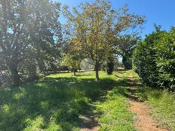 TER. AGRICOLO A GALLESE