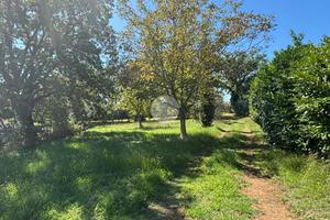 TER. AGRICOLO A GALLESE