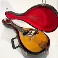 Mandolino Pasquale Pecoraro 1974 originale