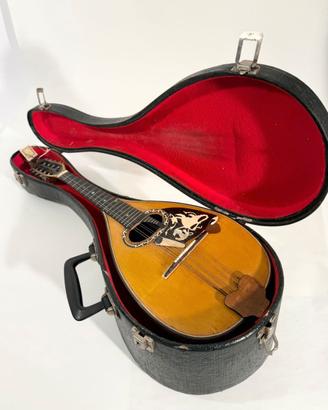 Mandolino Pasquale Pecoraro 1974 originale
