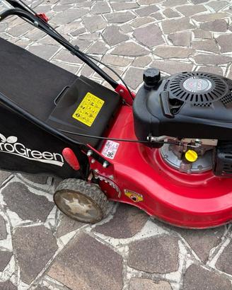Tagliaerba semovente ProGreen PY 18 S (DYM1656)