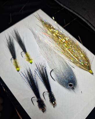 5 streamer | Trote, Lucci e altri predatori