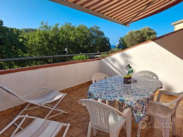 Palinuro estate 2026