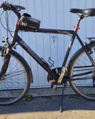 Bicicletta da uomo Pegasus
