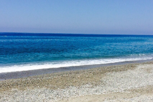 Appartamento pet friendly (dal 23 agosto)