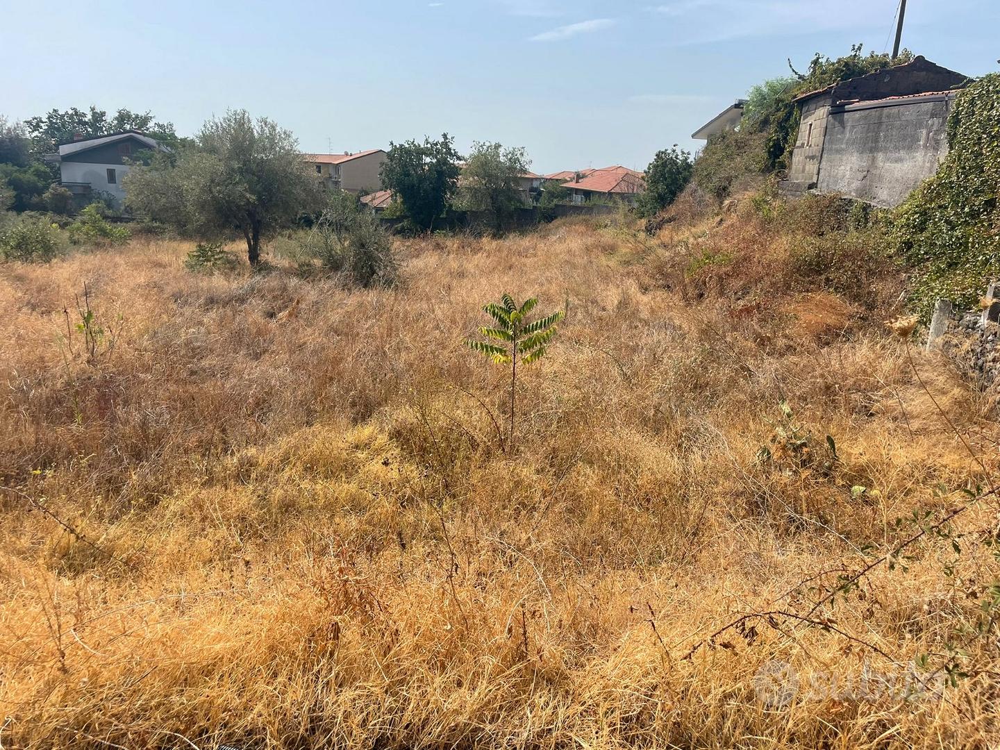 Terreno con progetto - Vista 2