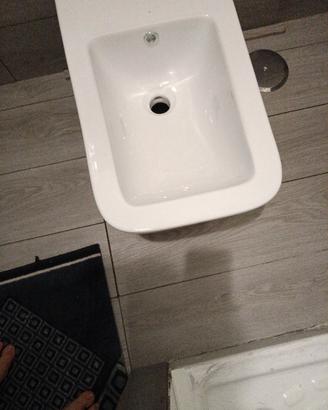 sanitari