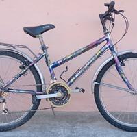 Bici MTB ragazza Ghiaroni 