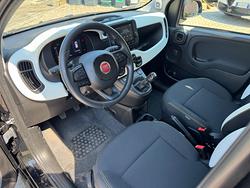 Fiat Panda 1.0 FireFly S&S Hybrid Pandina