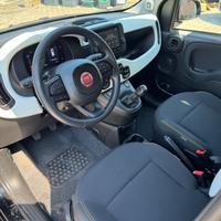 Fiat Panda 1.0 FireFly S&S Hybrid Pandina