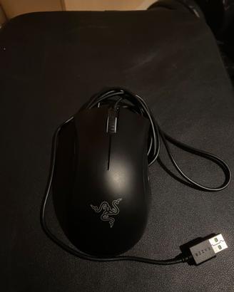 mouse