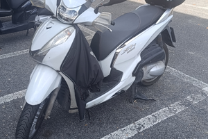 SH 300 I anno 2020 revisionato