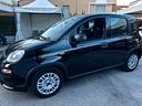 fiat-panda-1-0-firefly-s-s-hybrid-2023