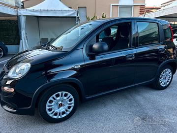 Fiat Panda 1.0 FireFly S&S Hybrid 2023