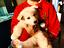 Immagine 4