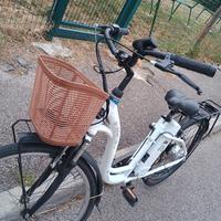 bici elettrica 