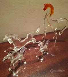 cavalli da collezione 