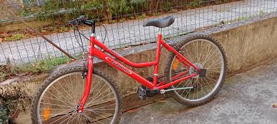 mountain bike 🚲 ruota 26
